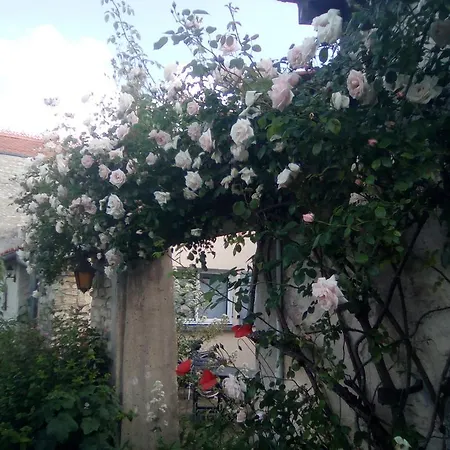La Bonne Annee *